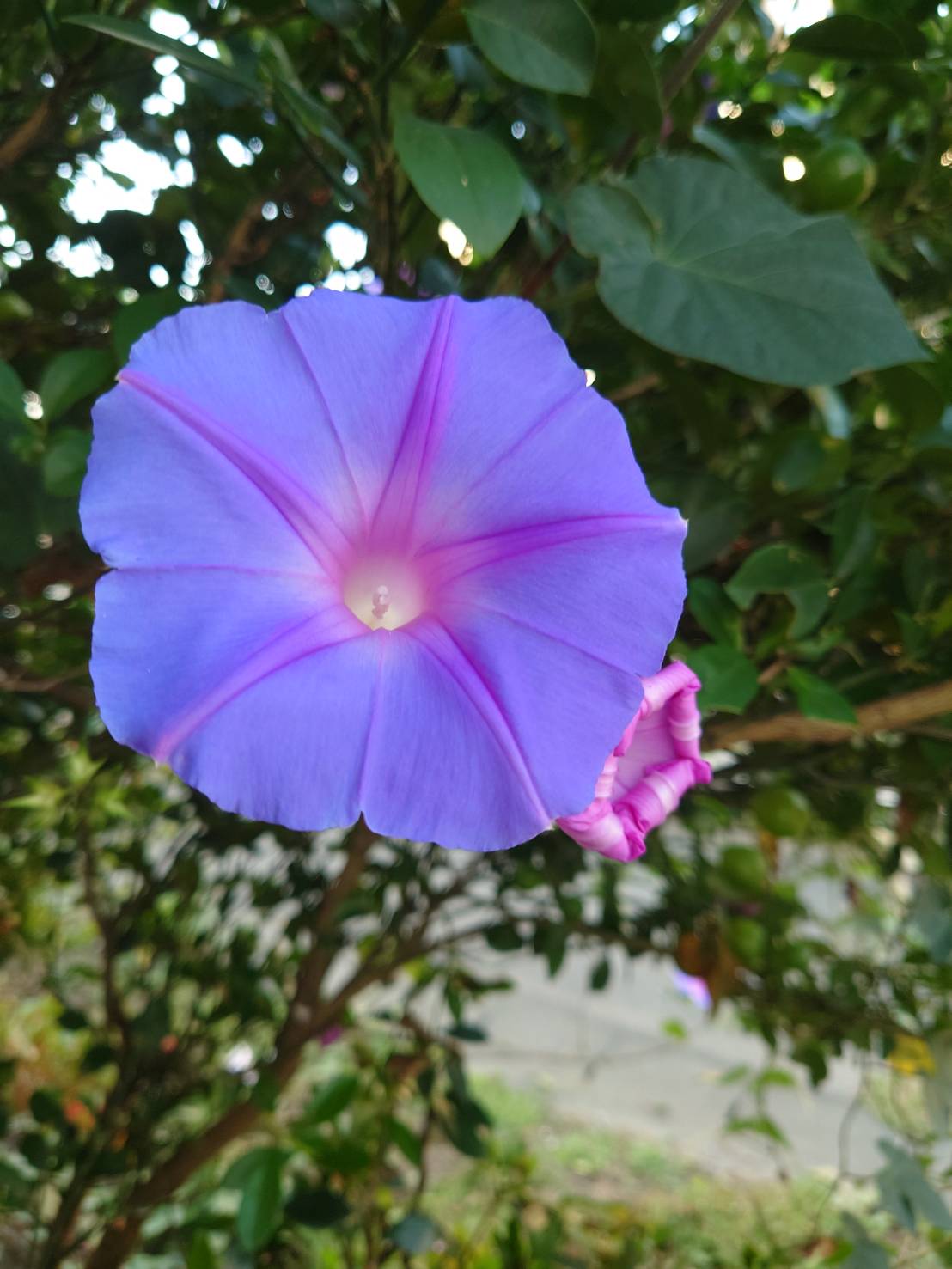 人生は毎日のコツコツの積み重ね。